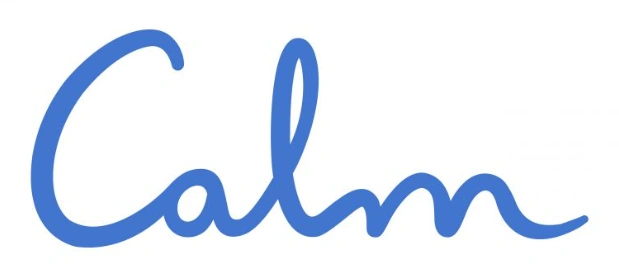 Best AI App For Android 2024 (Free and Paid) + AI Apps for Android Tablets 15 Calm